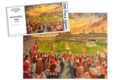 Broomfield Park Stadium Fine Art Jigsaw Puzzle - Airdrieonians FC